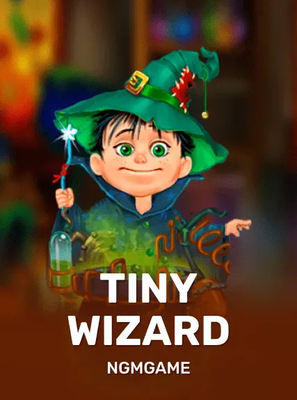 Tiny Wizard game tile