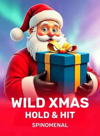Wild Xmas - Hold & Hit game tile