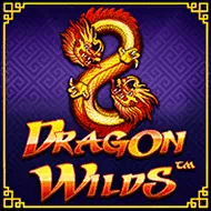 Dragon Wilds
