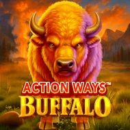Action Ways Buffalo
