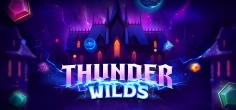 Thunder Wilds game tile