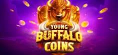 Young Buffalo Coins game tile