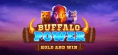 Buffalo Power: Hold and Win game tile