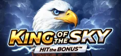 King of the Sky: Hit the Bonus game tile