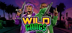 Wild Gangs game tile