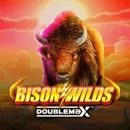 Bison Wilds Doublemax game tile