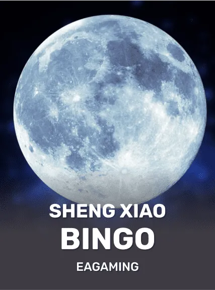 Sheng Xiao Bingo game tile