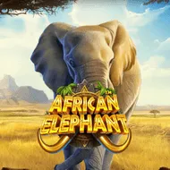 African Elephant game tile