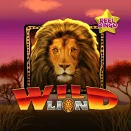 Wild Lion Reel Bingo game tile