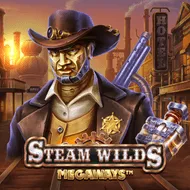 Steam Wilds Megaways game tile