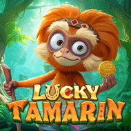 Lucky Tamarin game tile