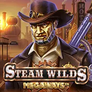 Steam Wilds Megaways game tile