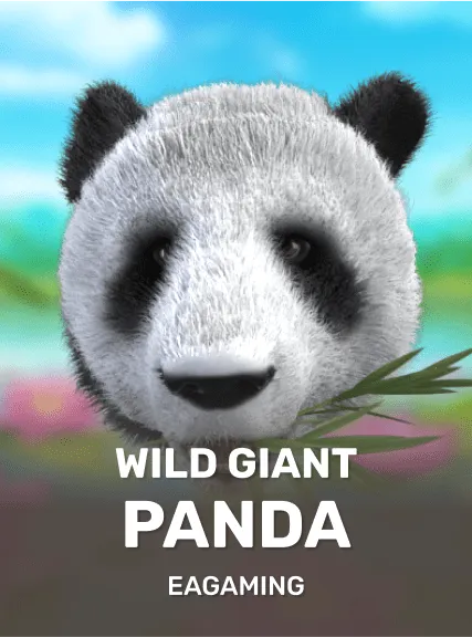 Wild Giant Panda game tile