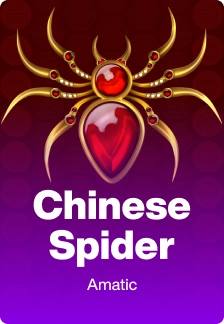 Chinese Spider