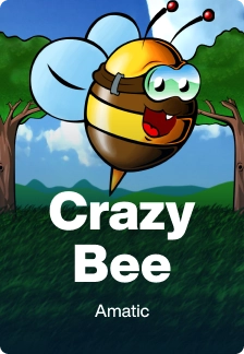 Crazy Bee