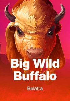 Big Wild Buffalo