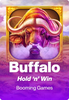 Buffalo Hold and Win