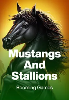 Mustangs and Stallions