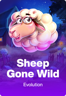 Sheep Gone Wild