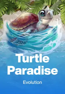 Turtle Paradise