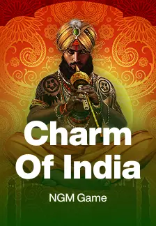 Charm Of India