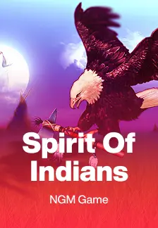 Spirit Of Indians
