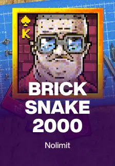 BRICK SNAKE 2000