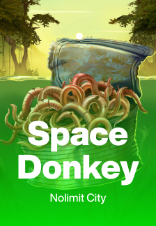 Space Donkey