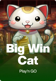 Big Win Cat