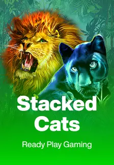 Stacked Cats
