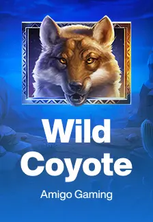 Wild Coyote