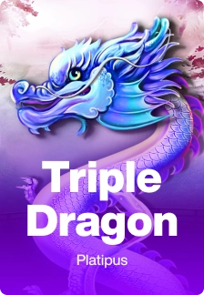 Triple Dragon