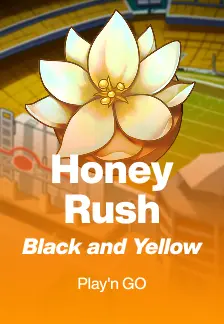 Honey Rush Black and Yellow