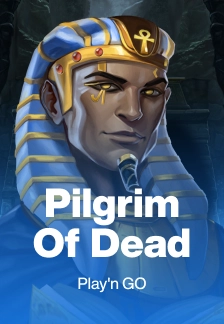 Pilgrim of Dead