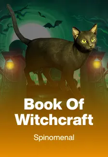 Book Of Witchcraft
