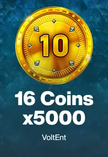 16 Coins x5000