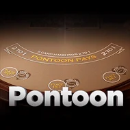 Pontoon 21 game tile