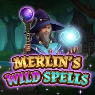 Merlin's Wild Spells game tile