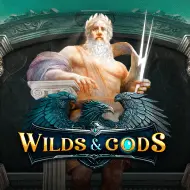 Wilds&Gods game tile
