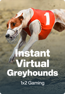 Instant Virtual Greyhounds