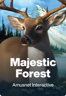 Majestic Forest