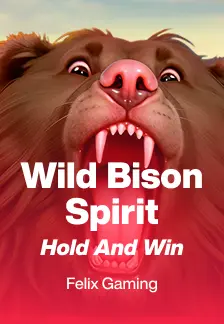 Wild Bison Spirit Hold And Win