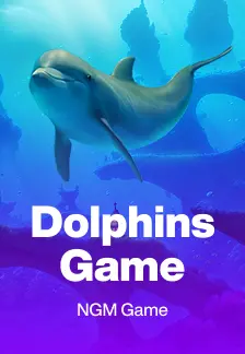 Dolphins Game