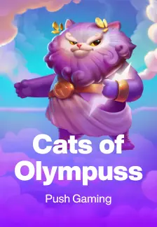 Cats of Olympuss