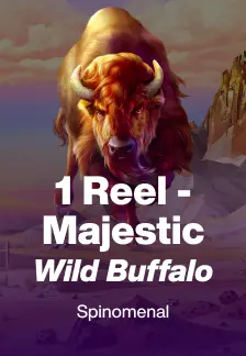 1 Reel - Majestic Wild Buffalo