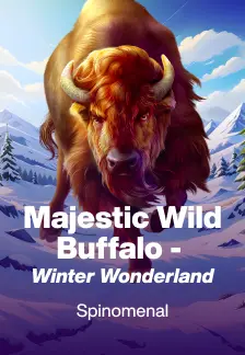 Majestic Wild Buffalo - Winter Wonderland