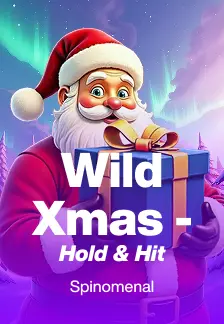 Wild Xmas - Hold & Hit
