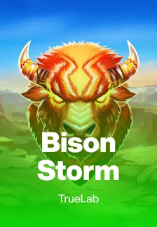 Bison Storm