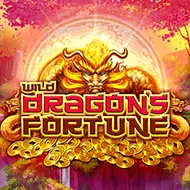 Wild Dragon's Fortune game tile