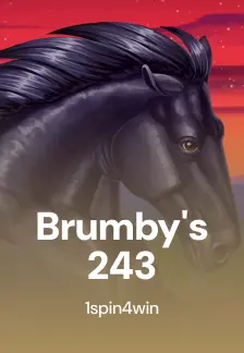 Brumby's 243